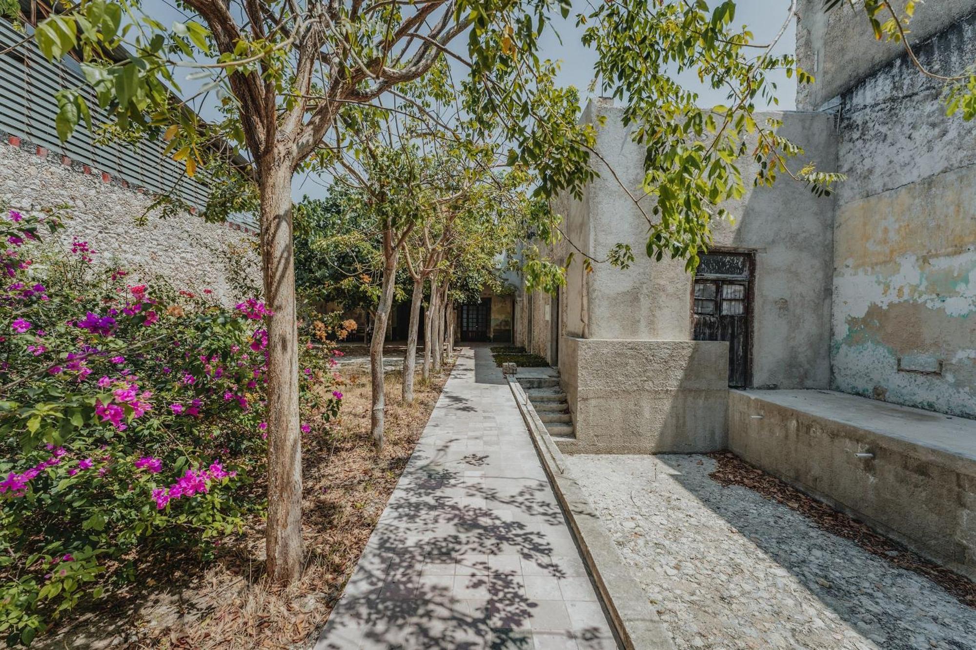 Habitacion Privada, 5 Min Catedral Mérida Exteriör bild